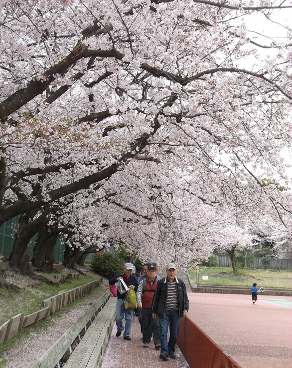 �_�ˎs���������E���q���������e�j�X�R�[�g�e