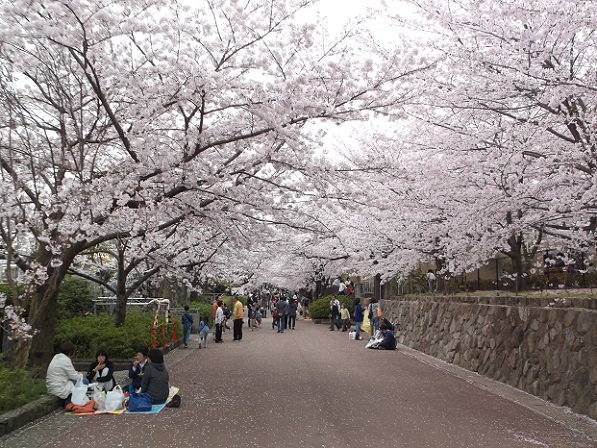 �_�ˎs���������E���q����