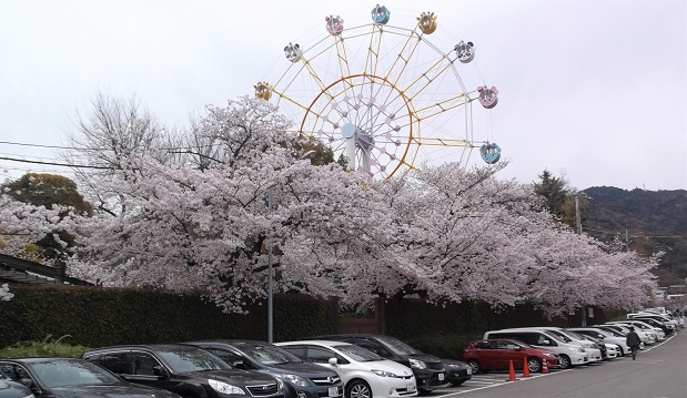 �_�ˎs���������E���q����