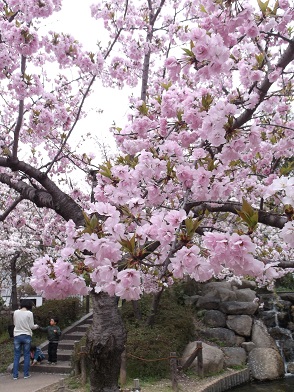 �_�ˎs�������E���{�E�������