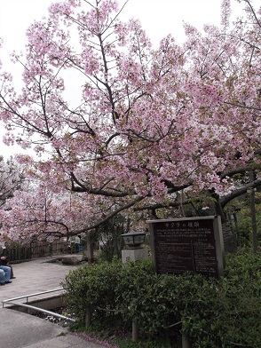 �_�ˎs�������E���{�E�������