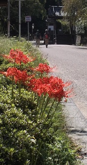 �������ފ݉�