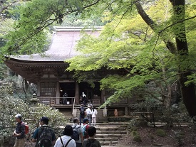 ���������ӓ���쎛