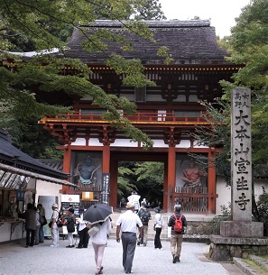 �������\��