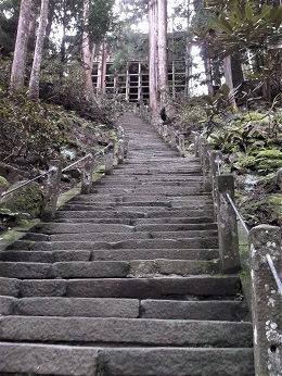 ���������V�@