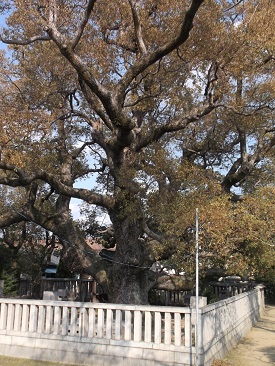 ������i��ؐ��s�j��n�E���