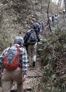 �ѐ��R���