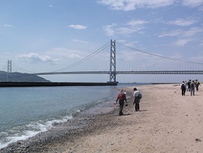 �����C��