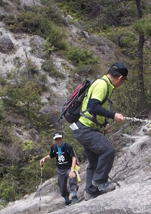 �����A���v�X���P��