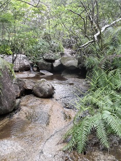 �����A���v�X