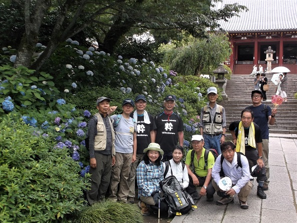 ��c���E��������