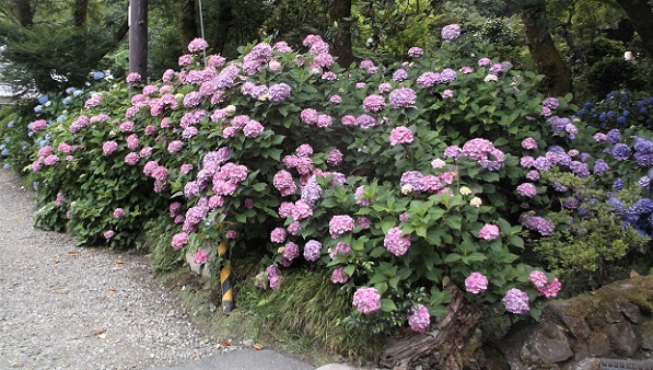 ��c���E��������