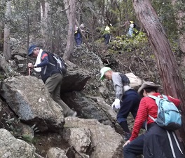 �O��R����