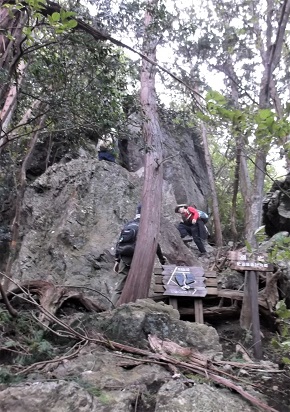 �O��R�o�R���i�\���j