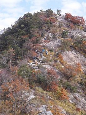 �d���A���v�X�E�����R