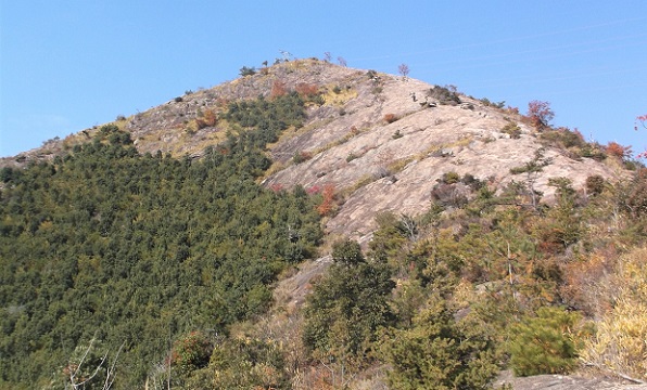 �d���A���v�X�E�S���