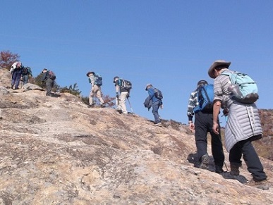 �d���A���v�X�E�S���