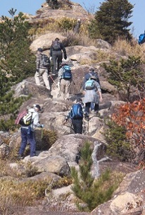 ���A���v�X�E�S���