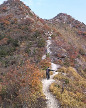 �d���A���v�X�E��m���R