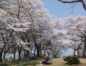 ���a�R��