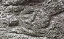 �ޗǁE�����X���E�Q��