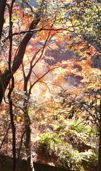 �ޗǁE�����X���E�g�t