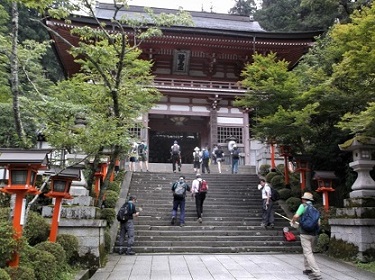 �Ɣn�����̉@