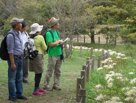 �n���u�ˌ���