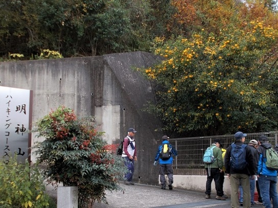 ���_�R�n�C�L���O