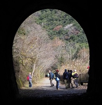 �i�q���m�R���̔p���~