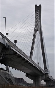 ������勴