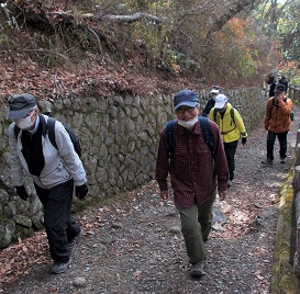 �r�c�܌��R�U��