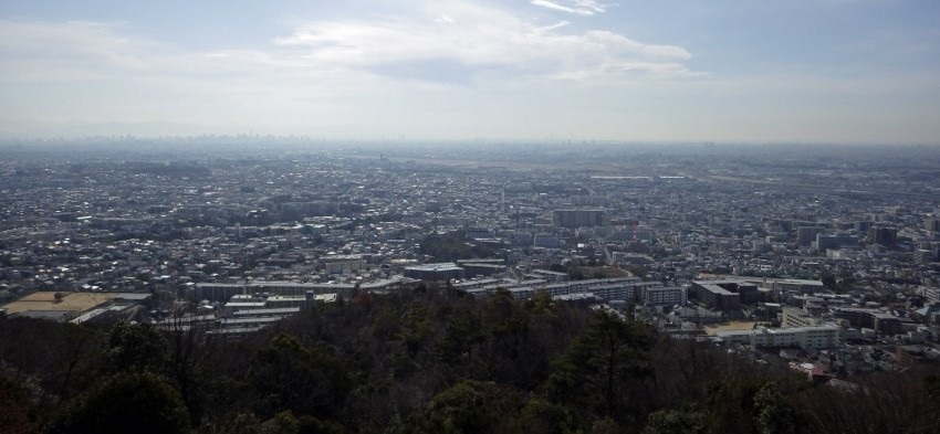 �啶���Ώ��E�W�]��