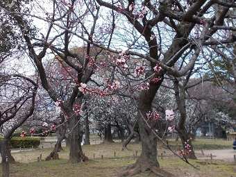 ���s���_�ƌ���