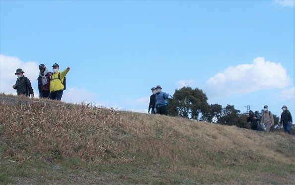 �����썶��