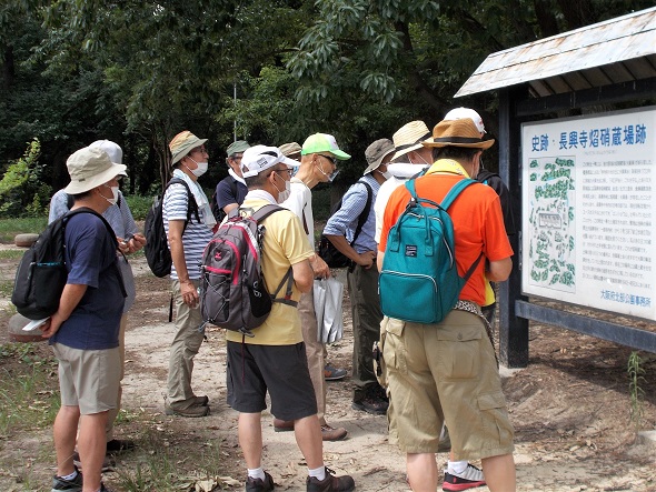 ���������ɑ����