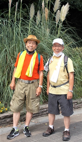 �t�����[�ʂ�