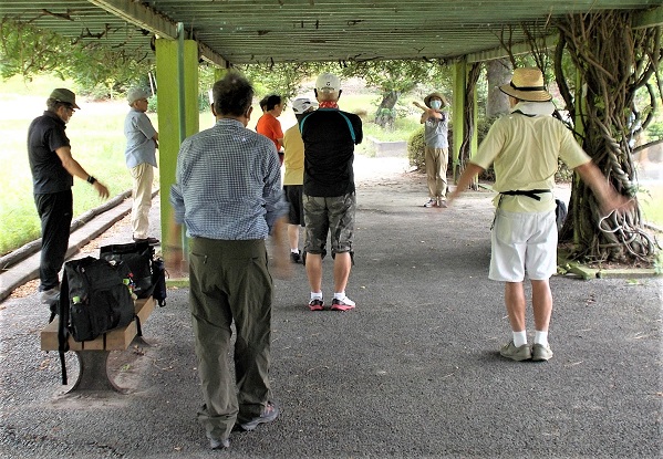 �痢�쒬����