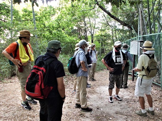 ���F�R�q��