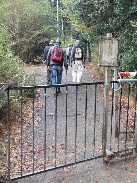 ���ʃE�c�M�J���[�g