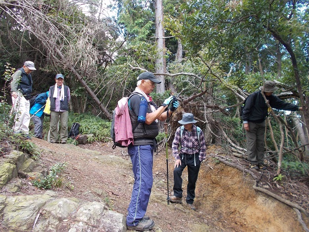 ���ʒJ�R�������[�g