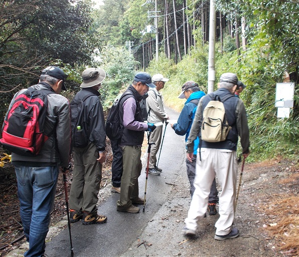 ���ʃE�c�M�J���[�g