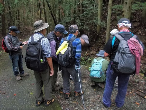 ���ʃE�c�M�J���[�g