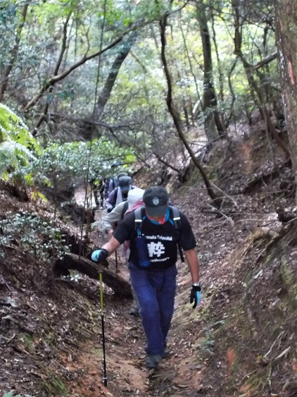 ���ʃE�c�M�J���[�g