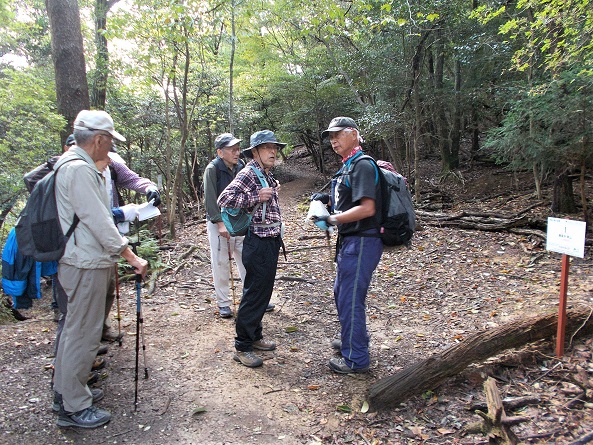 ���ʃE�c�M�J���[�g