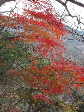 �Z�b�R�������i�ƂƂ�݂��j