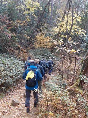 �Z�b�R�Z�b�R�������i�ƂƂ�݂��j