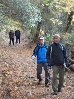 �Z�b�R�Z�b�R�������i�ƂƂ�݂��j