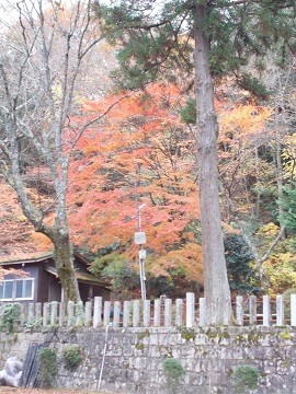 �L�n����L�n��א_��