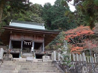 �L�n����L�n��א_��